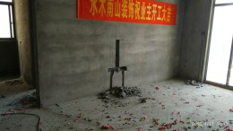 山水国际