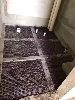 中建之星