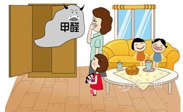 室内去甲醛